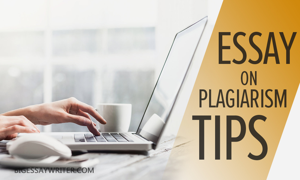 Good essay writer without plagiarism