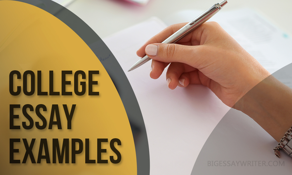 college essay example for free sample